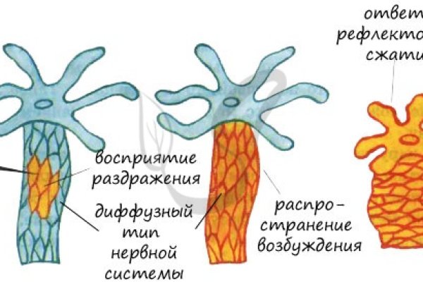 Кракен купить наркотики